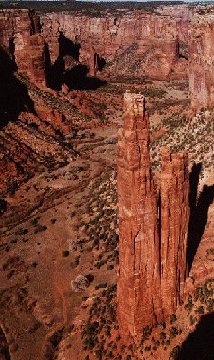 'Spider Rock' ... NO PICTURE ? ... PLEASE DROP ME A MESSAGE !