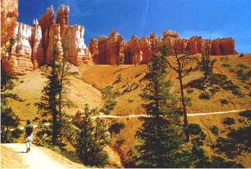 'Bryce Canyon Hiking' ... NO PICTURE ? ... PLEASE DROP ME A MESSAGE !
