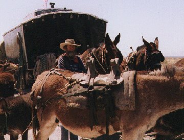 'On the Road' ... NO PICTURE ? ... PLEASE DROP ME A MESSAGE !