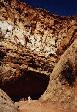 'Capital Gorge' ... NO PICTURE ? ... PLEASE DROP ME A MESSAGE !