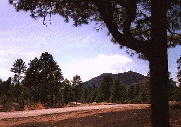 'Sunset Crater' ... NO PICTURE ? ... PLEASE DROP ME A MESSAGE !