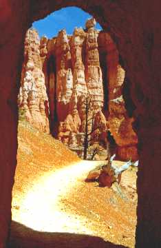 'Under the Rim' ... NO PICTURE ? ... PLEASE DROP ME A MESSAGE !