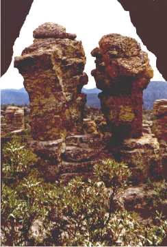 'Punch and Judy' ... NO PICTURE ? ... PLEASE DROP ME A MESSAGE !